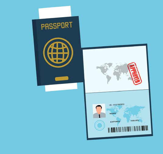 Carta de Naturaleza Consulta / Análisis